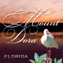 28th Mount Dora Spring Festival of Arts and Crafts